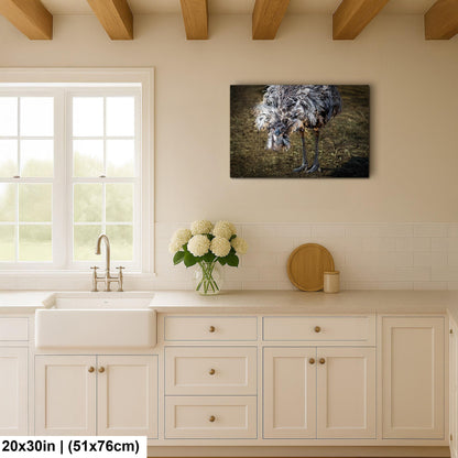 Emu Wildlife Portrait with Textured Feathers - Benson Arizona Photography Print