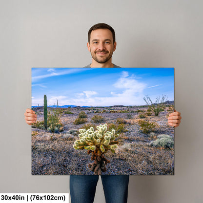 Teddy Bear Cholla in Bloom, Quartzsite Arizona Desert Landscape Photography Print