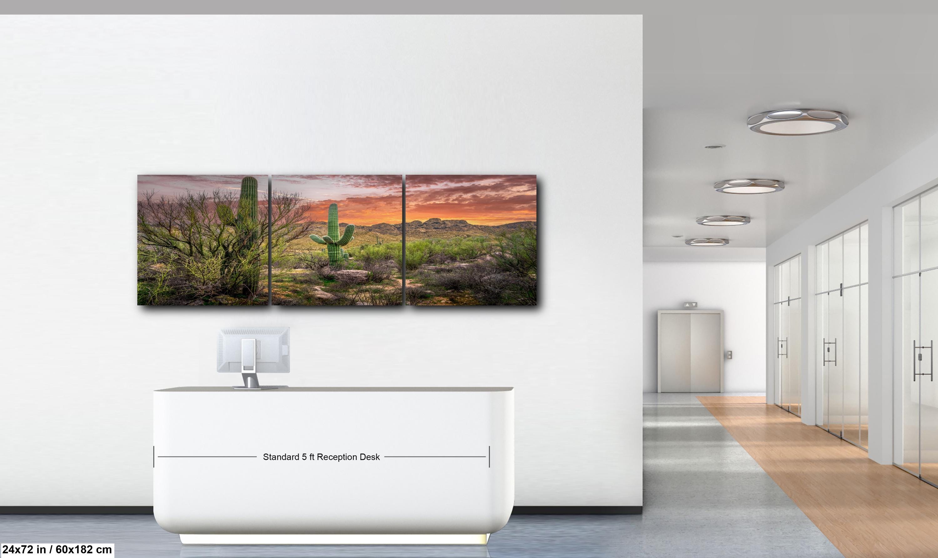 Sonoran Desert Sunset with Saguaros - Catalina State Park Tucson Arizona Photography Print