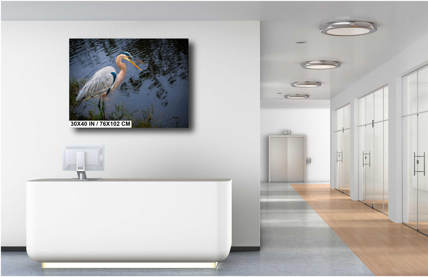 Laughing Blue Heron: Everglades National Park Florida Bird Print Wall Art Photography Animal Wildlife Aluminum/Acrylic/Metal/Canvas