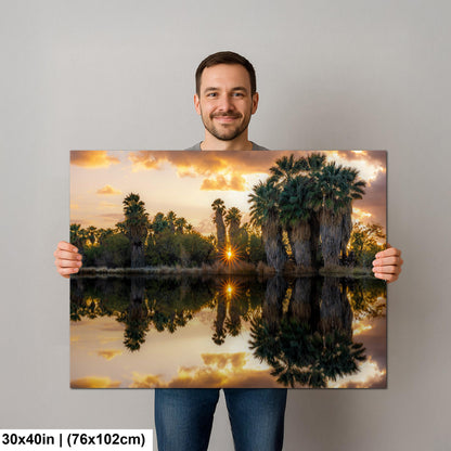 Agua Caliente Park Sunset Palm Oasis Reflection - Tucson Arizona Photography Print