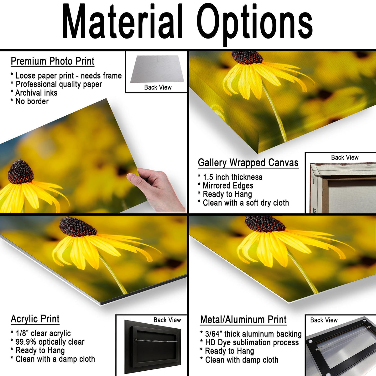 Sunlit Petals: Black-Eyed Susans Yellow Floral Photography Wall Art