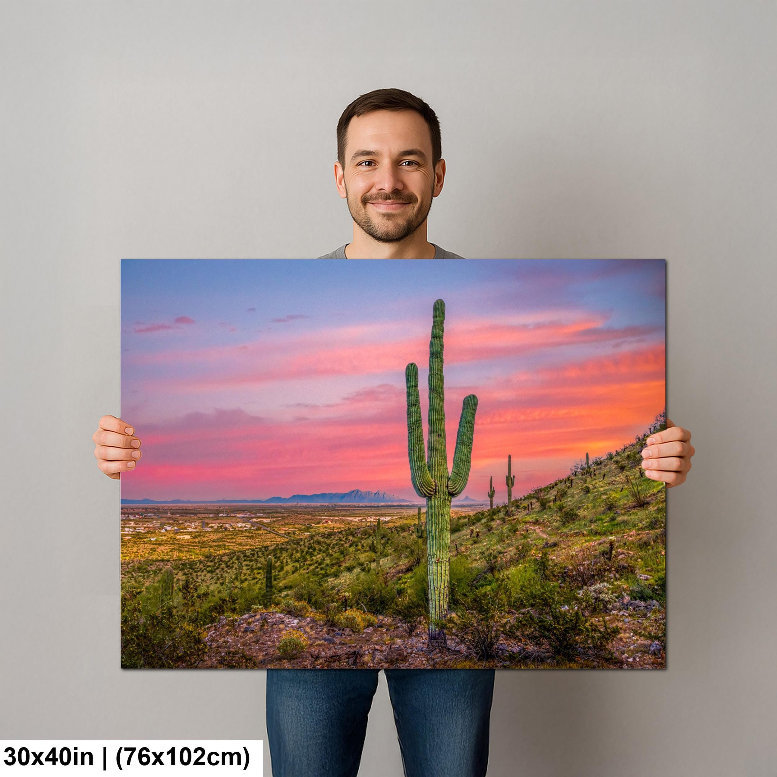 Sonoran Desert Sunset with Saguaros, Casa Grande Arizona, Photography Wall Art