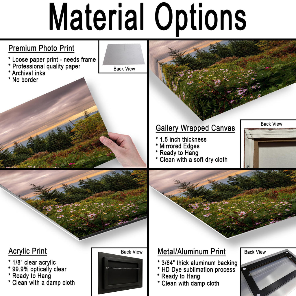 Mountain Bouquet: Great Smoky Mountains Tennessee Wildflower Photo Wall Art