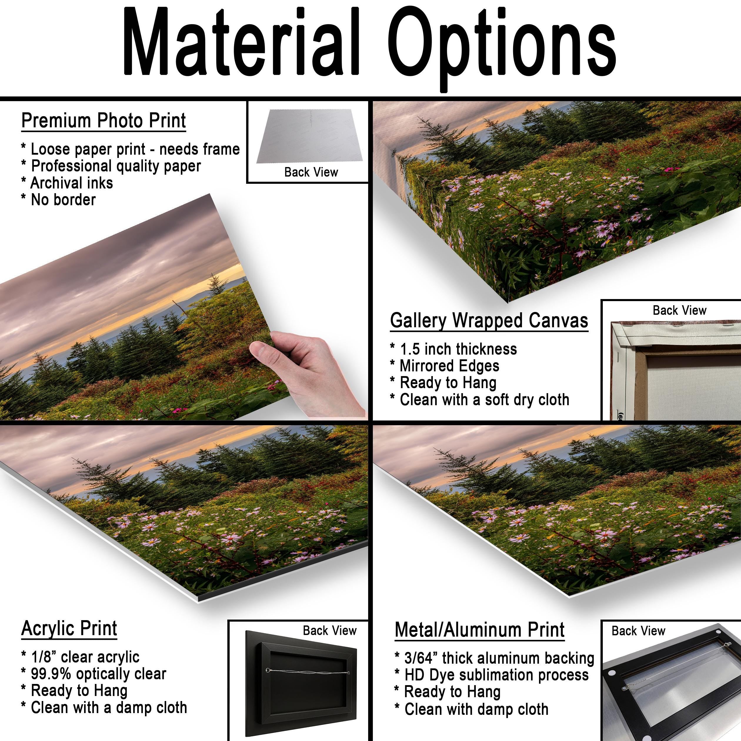 Mountain Bouquet: Great Smoky Mountains Tennessee Wildflower Photo Wall Art