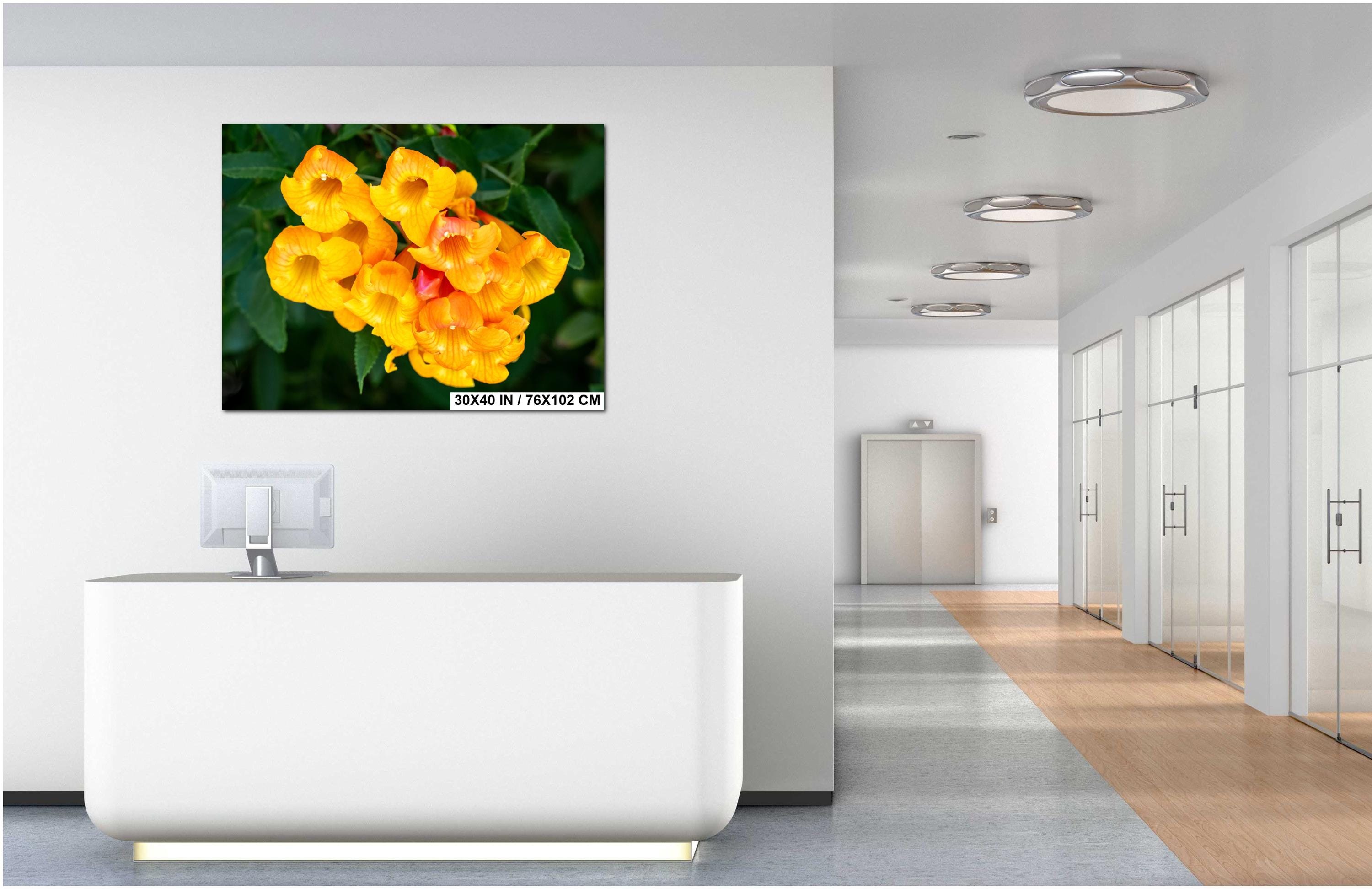 Yellow Bells Flower Print: Tucson Botanical Photography, Arizona Nature Art