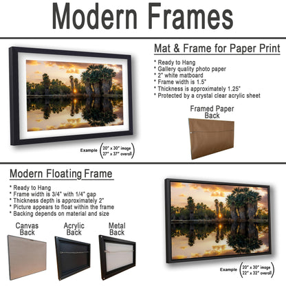 Agua Caliente Park Sunset Palm Oasis Reflection - Tucson Arizona Photography Print