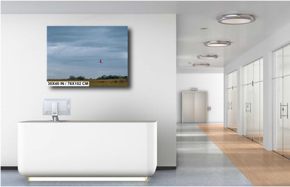 Everglades Roseate Spoonbill In Flight: Everglades National Park Florida Print Wall Art Bird Photography Aluminum/Acrylic/Metal/Canvas