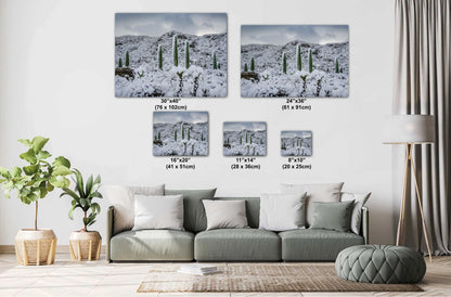 Saguaro National Park Winter Snow Photography Print: Tucson Desert Wall Art