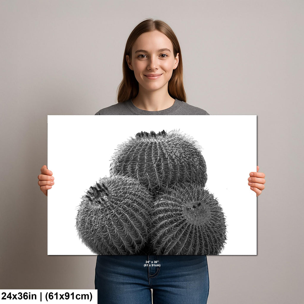 Palm Springs Barrel Cactus Photography Print: Black and White Desert Decor