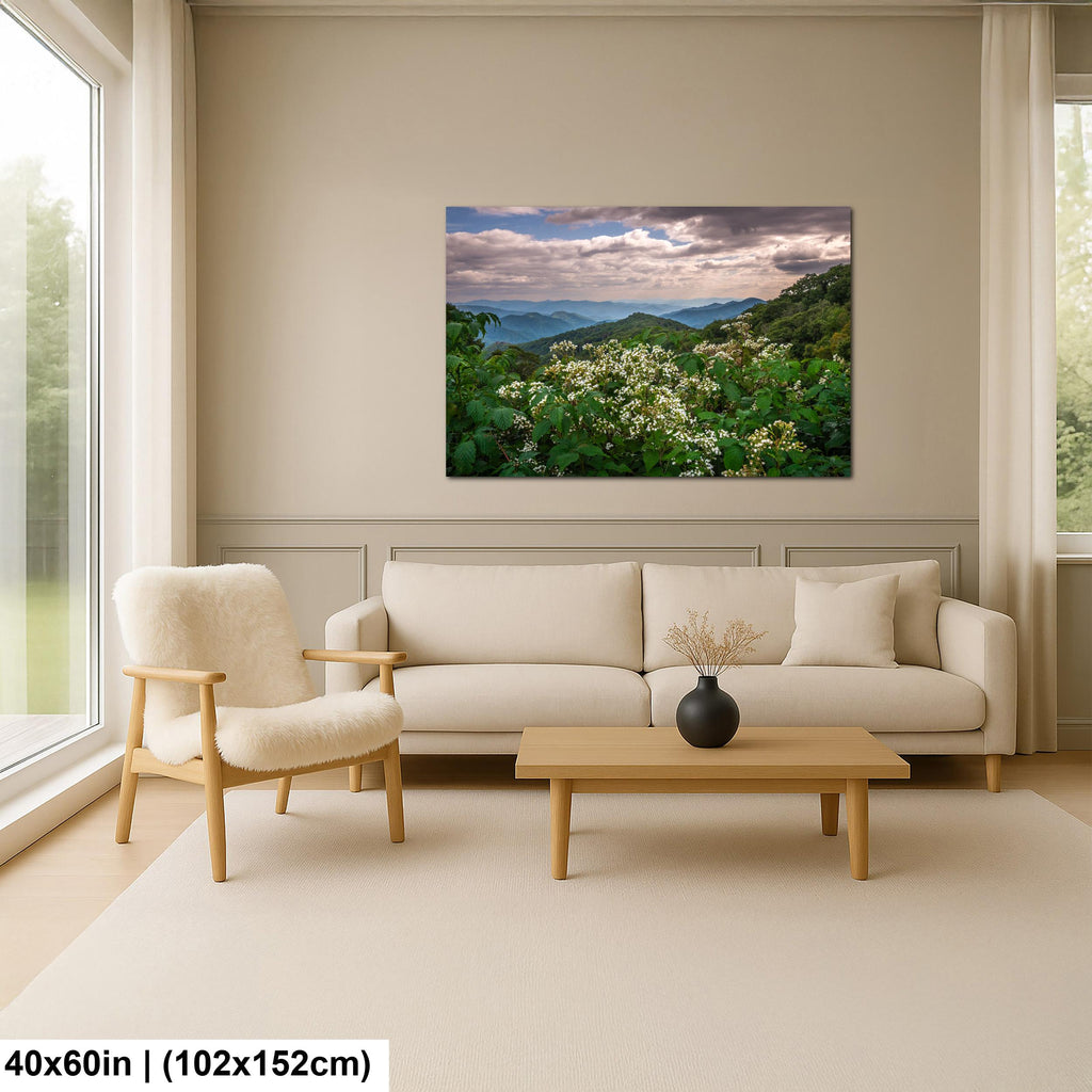 Mountain Meadow: Wildflowers Great Smoky Mountains Tennessee Photo Wall Art