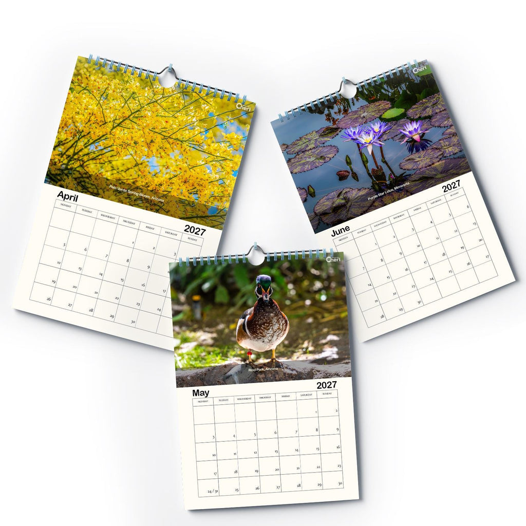 2027 Wall Calendar: Vibrant Landscape, Eco-Friendly Paper (8.5" x 11")