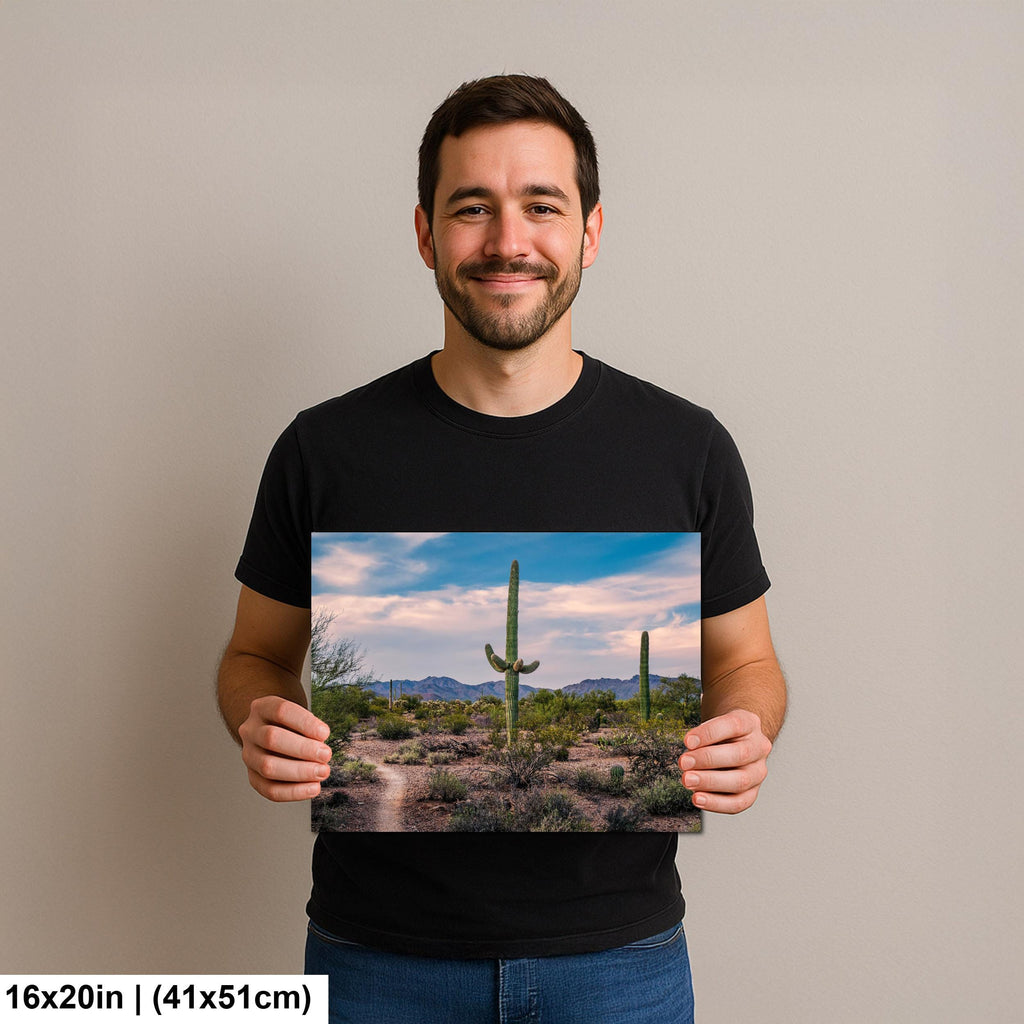 Pastel Sky Over Saguaro Cactus Trail Photography Print, Tucson Arizona Desert Landscape, Southwest Wall Art Decor