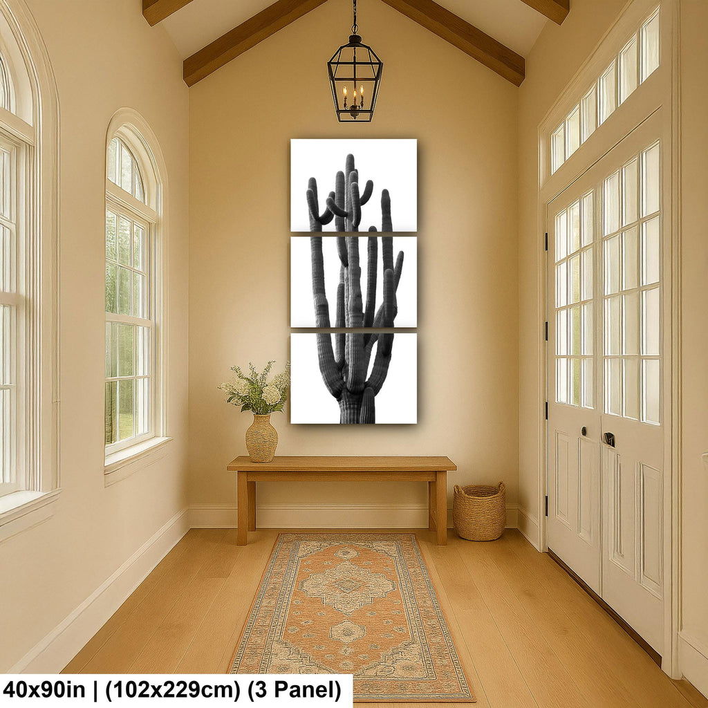 Towering Cactus Catalina State Park Arizona Black White Desert Wall Art