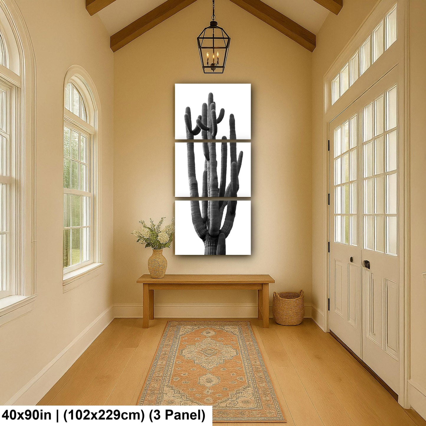 Towering Cactus Catalina State Park Arizona Black White Desert Wall Art