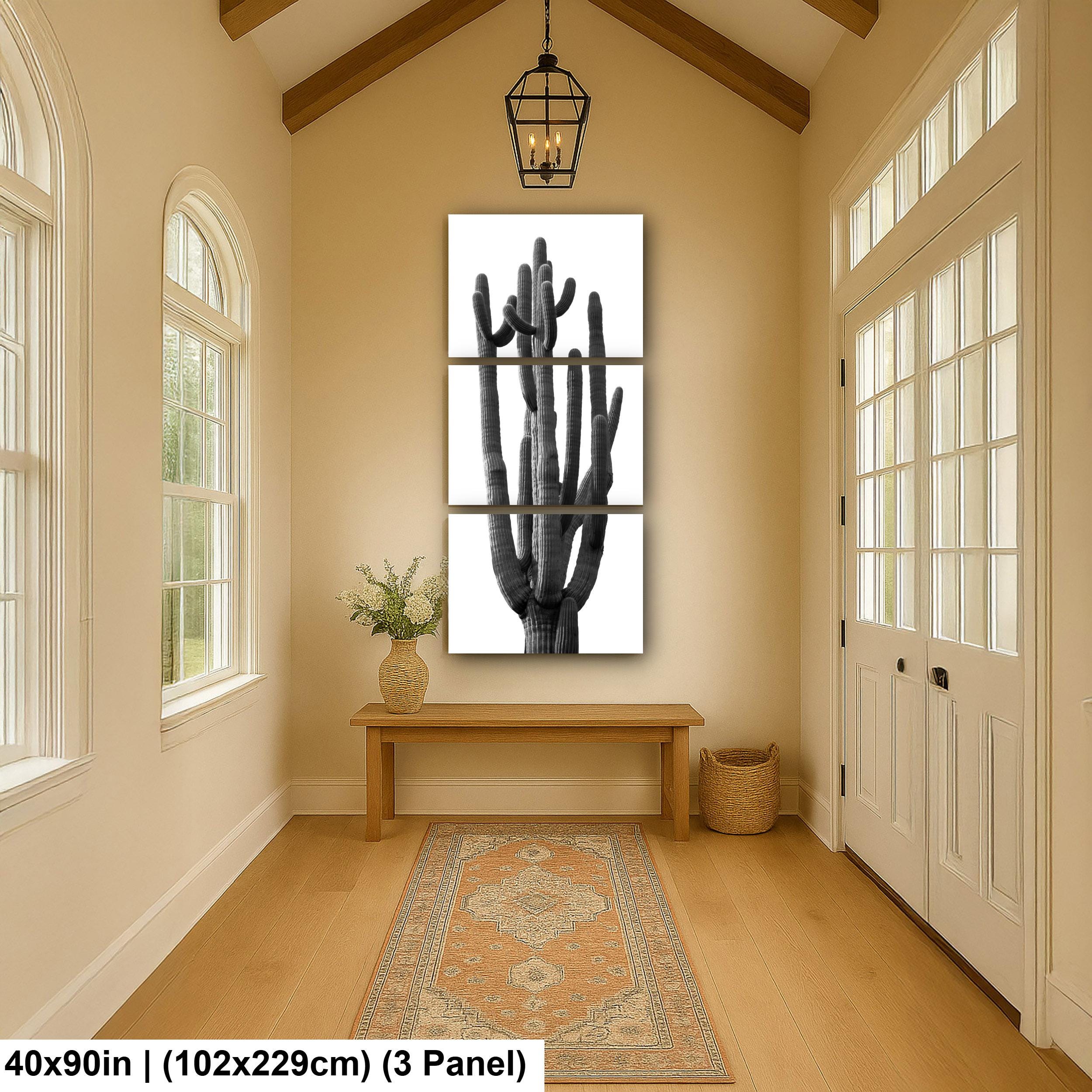 Towering Cactus Catalina State Park Arizona Black White Desert Wall Art