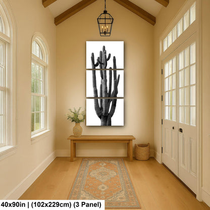 Towering Cactus Catalina State Park Arizona Black White Desert Wall Art