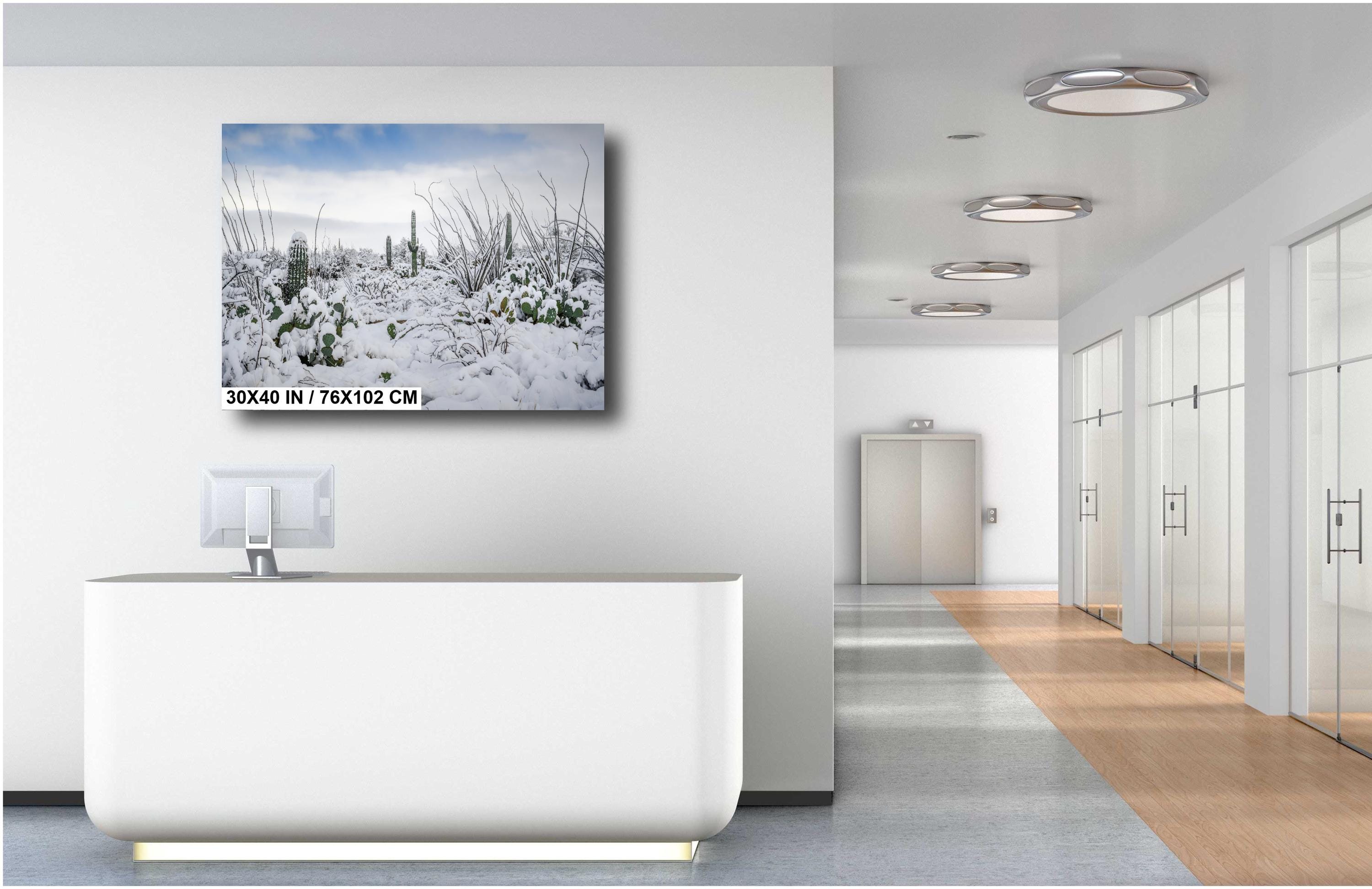 Snowy Saguaro Cactus Print: Tucson Arizona Winter Landscape