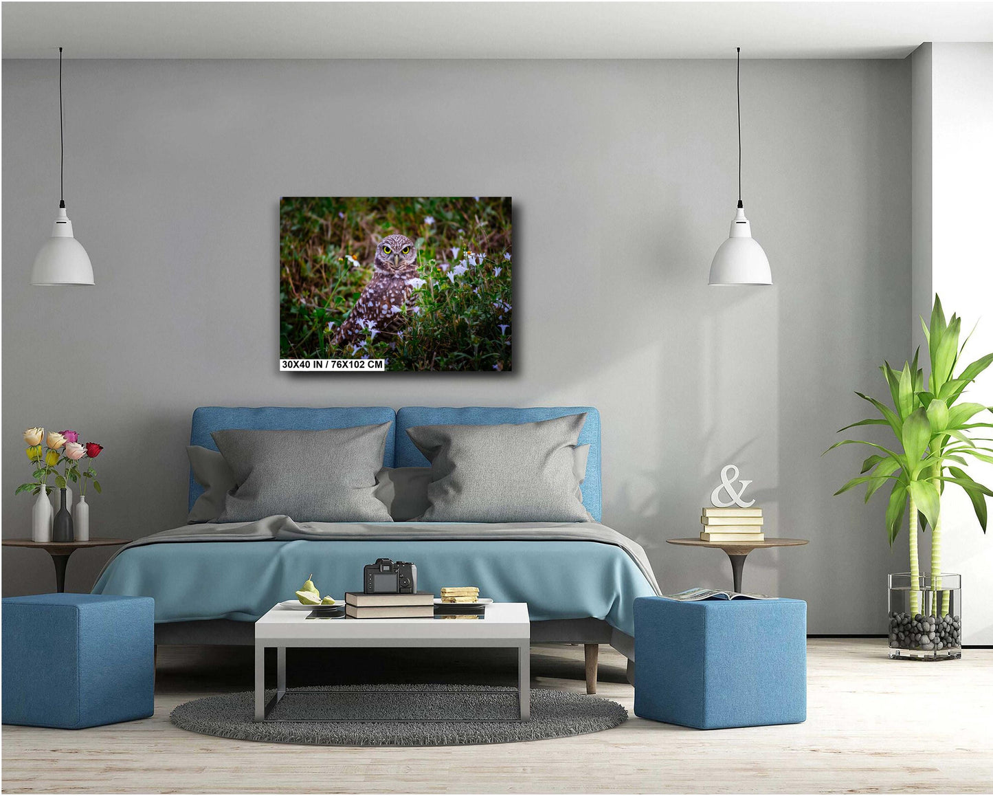 Burrowing Owl Amid Blossoms and Grass – Cape Coral’s Feathered Star The Americas Print Wall Art Photography Aluminum/Acrylic/Metal/Canvas