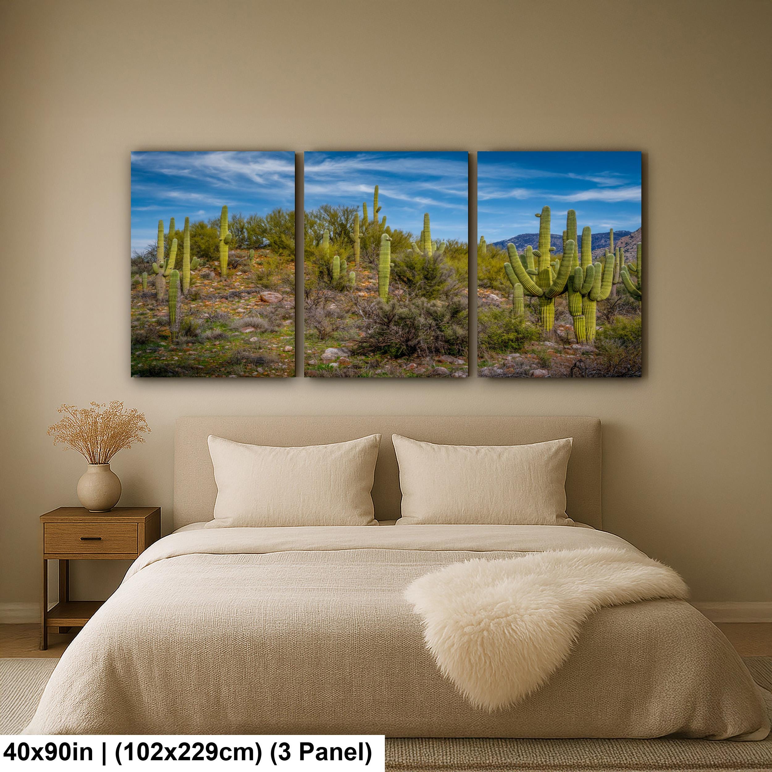 Sonoran Desert Hillside with Saguaros - Catalina State Park Tucson Arizona Photography Print