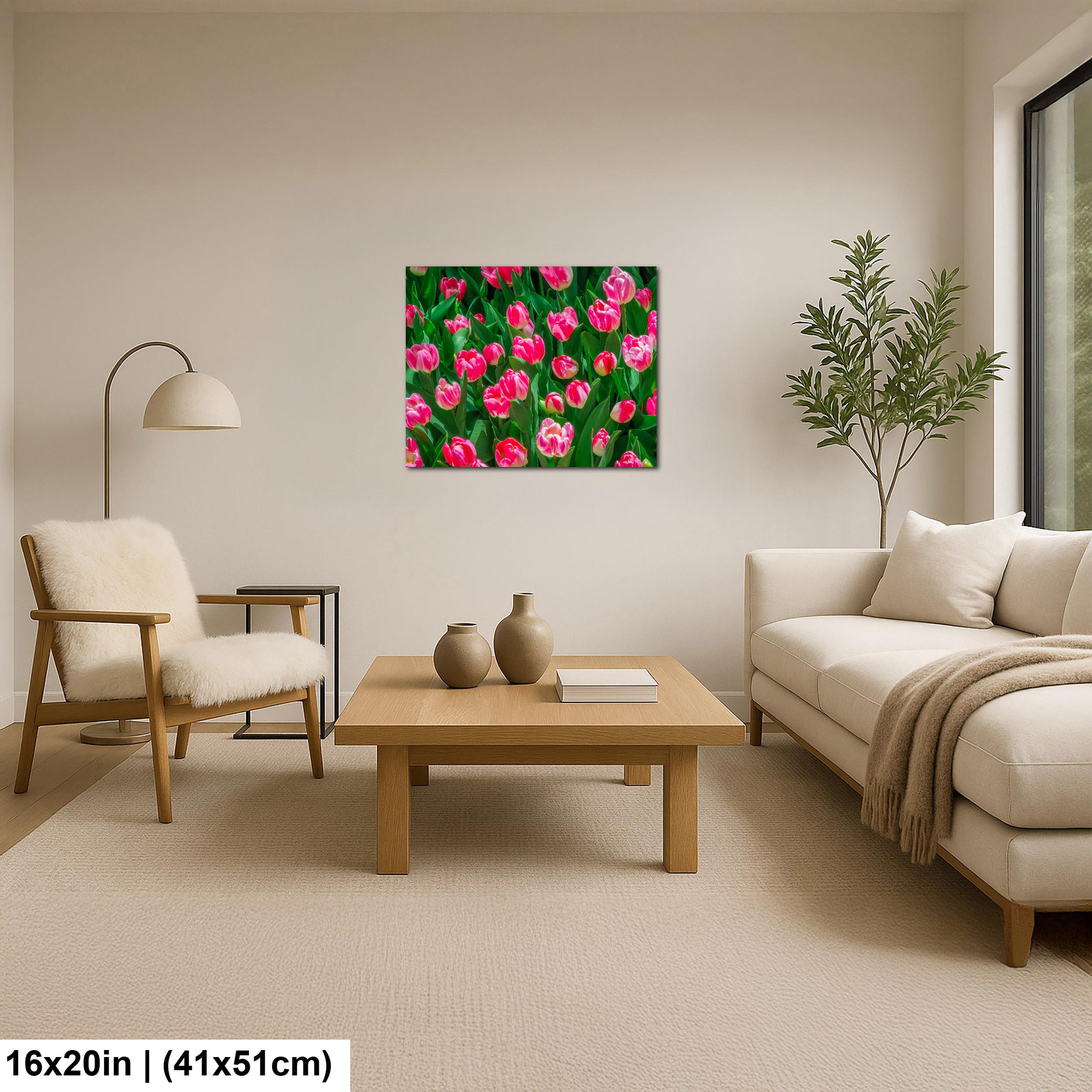 Pink Harmony: Pink Tulips Las Vegas Nevada Flower Photography Wall Art