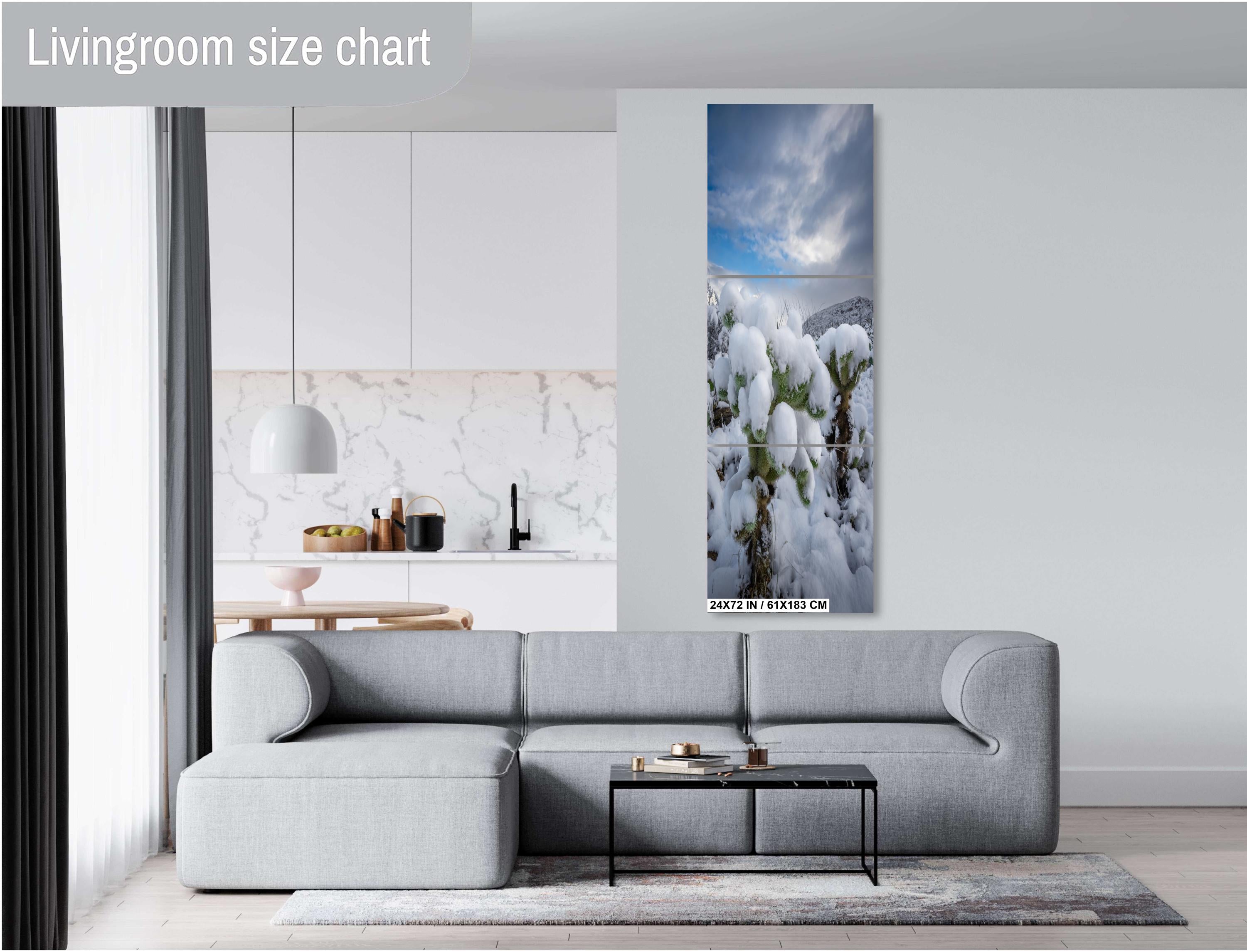 Snowy Cholla Cactus Print: Saguaro National Park Winter