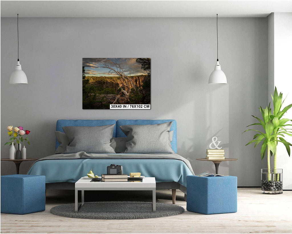 Modern living room with a blue sofa, coffee table, and decorative items.