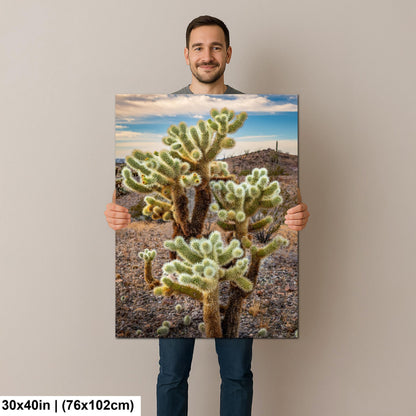 Teddy Bear Cholla Cactus Sonoran Desert Arizona Photography Print, Southwest Desert Wall Art