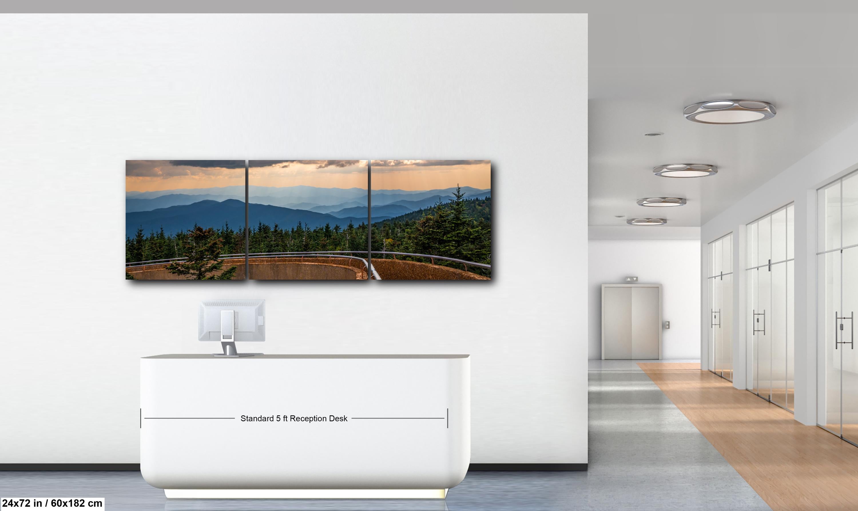 Storm's Light: Clingmans Dome Great Smoky Mountains Tennesse Photo Wall Art