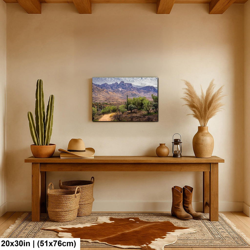 Santa Catalina Majesty, Arizona Mountains Sonoran Desert Photography Wall Art