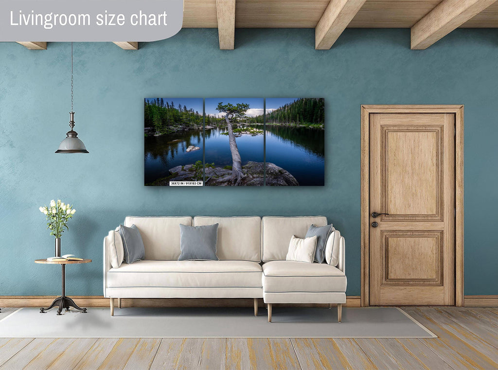 Dream Lake Twisted Tree Print: Rocky Mountain National Park Photography