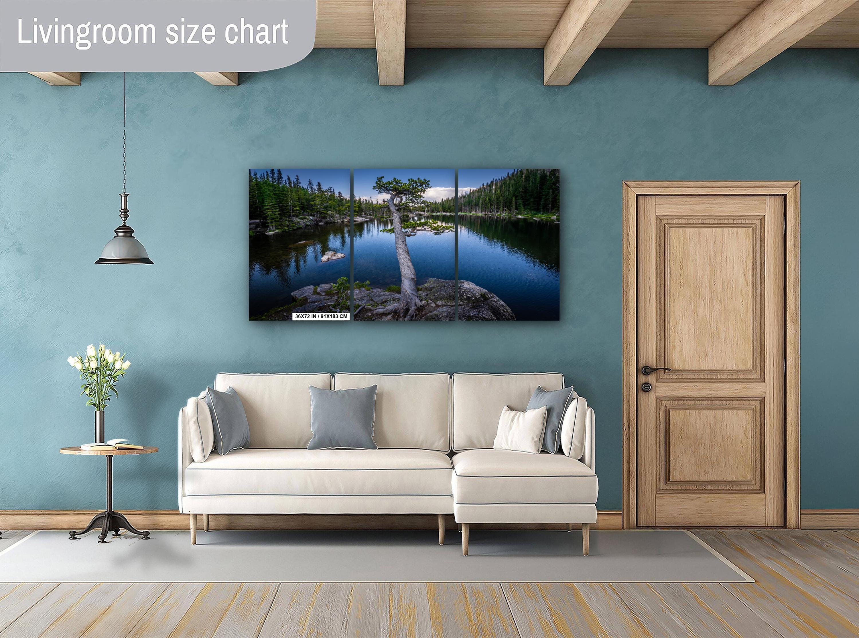 Dream Lake Twisted Tree Print: Rocky Mountain National Park Photography