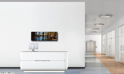 Agua Caliente Park Palm Tree Oasis Reflections - Tucson Arizona Photography Print