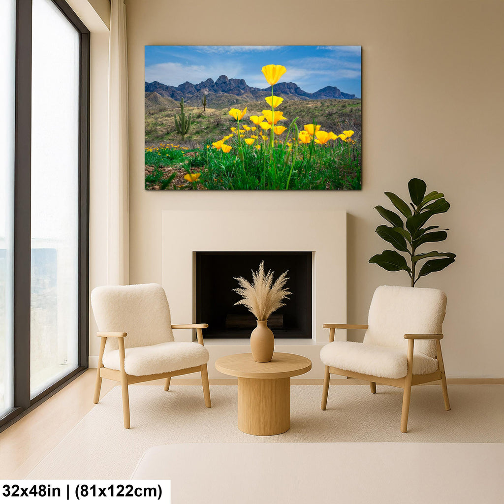 Arizona Poppies in Bloom with Saguaros and Mountains - Catalina State Park Tucson Photography Print