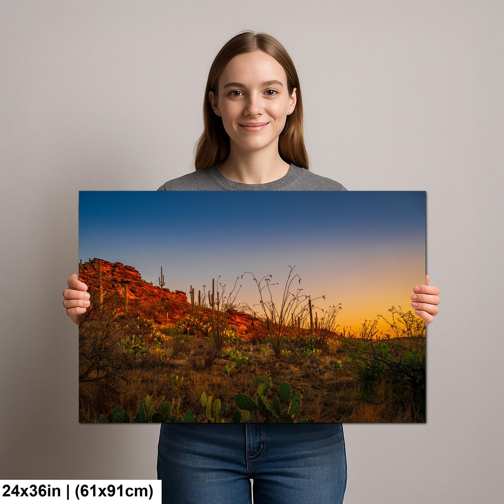 Sonoran Desert Sunset with Saguaros and Ocotillo - Saguaro National Park East Tucson Photography Print