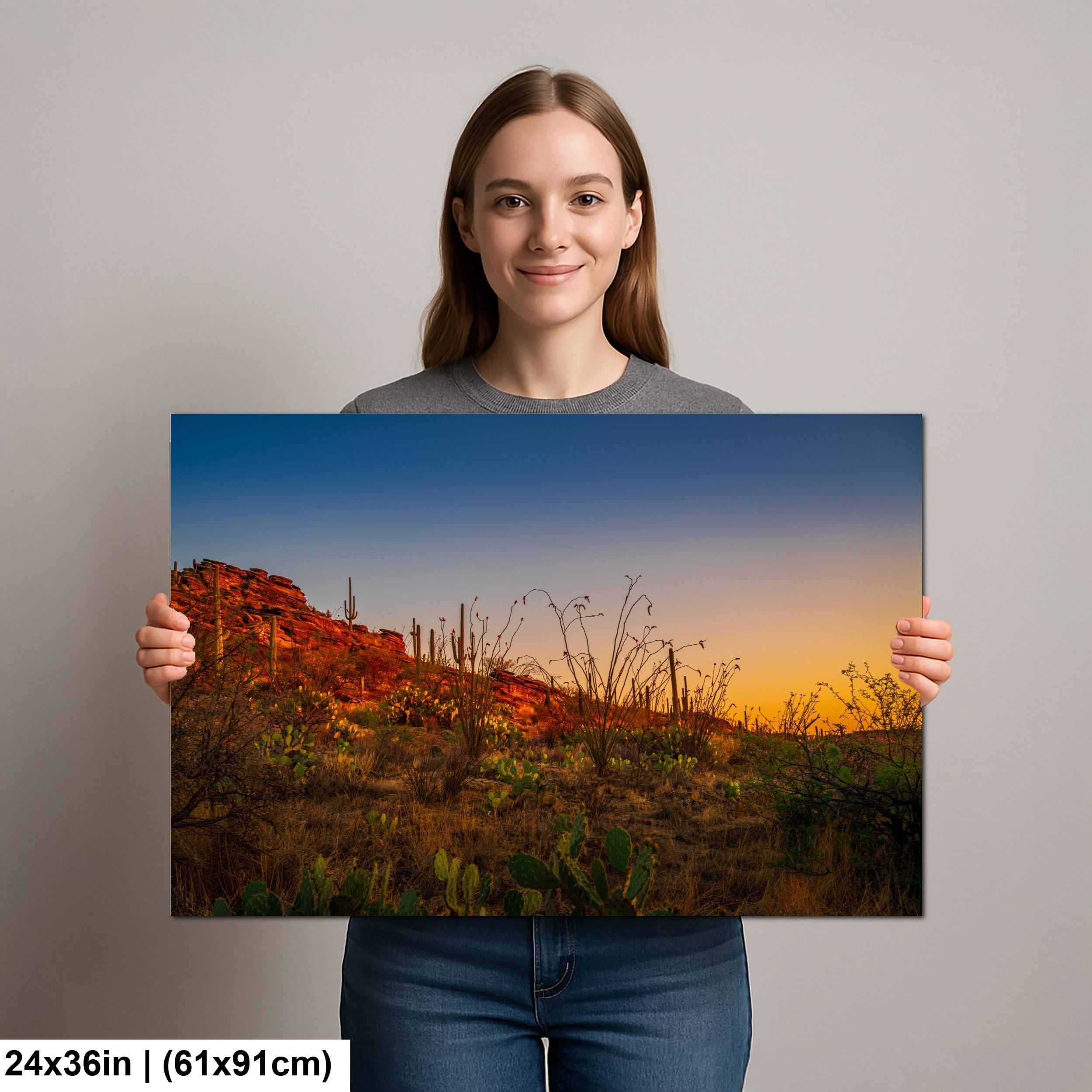 Sonoran Desert Sunset with Saguaros and Ocotillo - Saguaro National Park East Tucson Photography Print