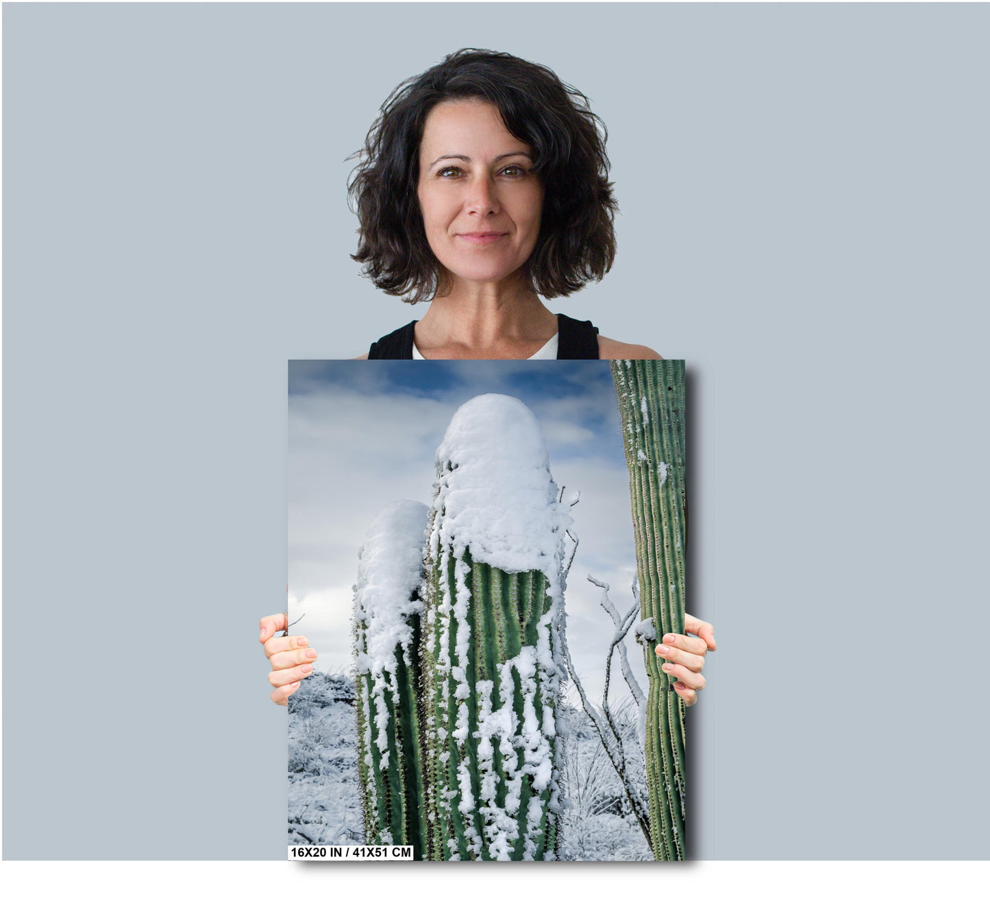 Saguaro Cactus in Snow Print: Tucson Arizona Winter Scene