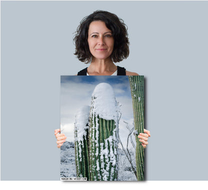 Saguaro Cactus in Snow Print: Tucson Arizona Winter Scene