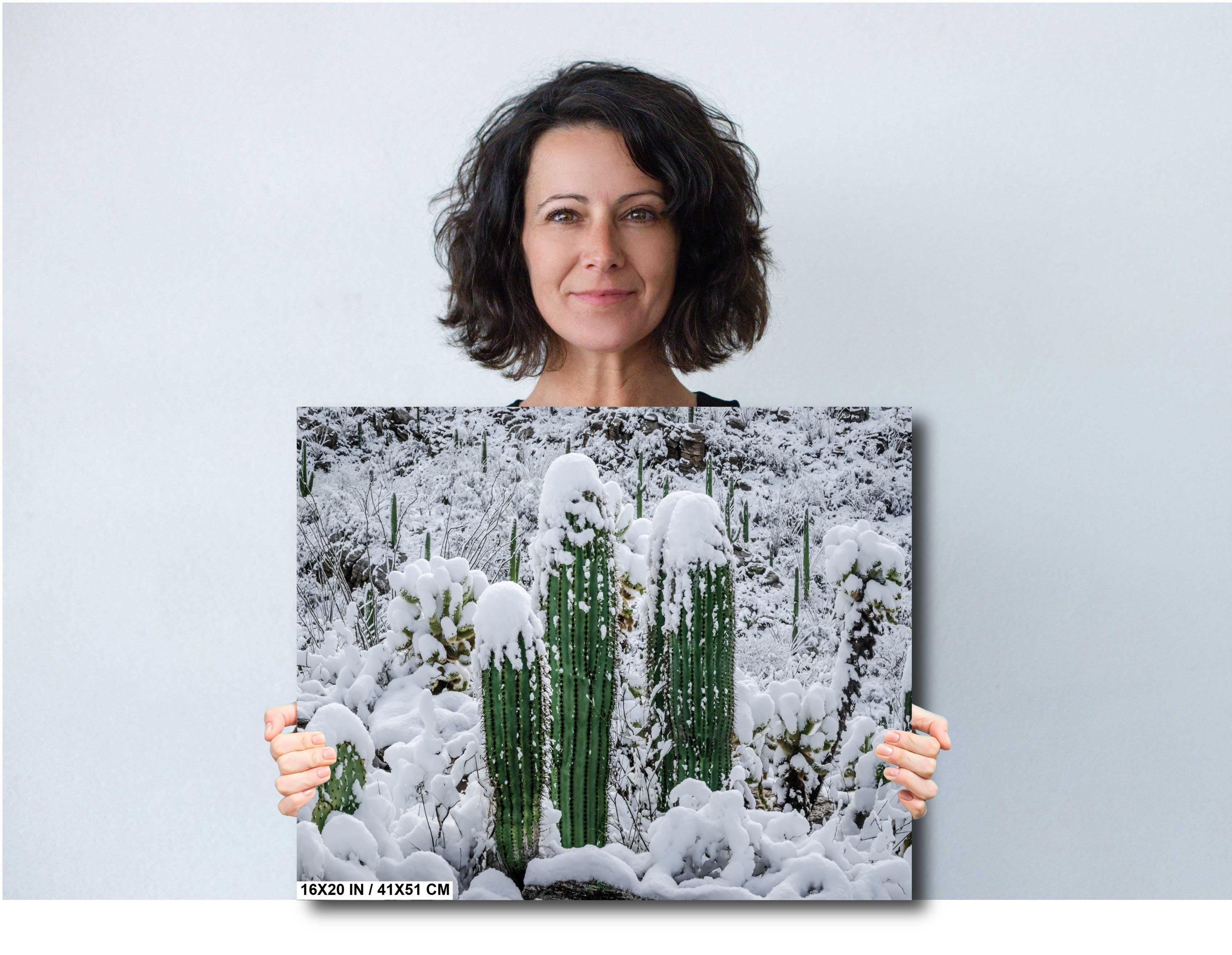 Saguaro Cactus Photography: Black and White Desert Minimalist Wall Art