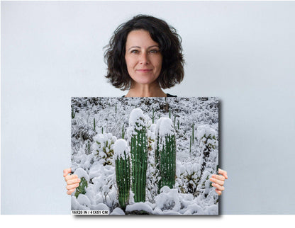 Saguaro Cactus Photography: Black and White Desert Minimalist Wall Art