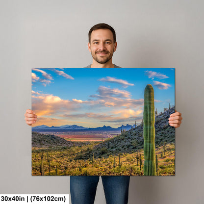 Desert Valley View with Saguaros, Casa Grande Arizona, Photography Wall Art
