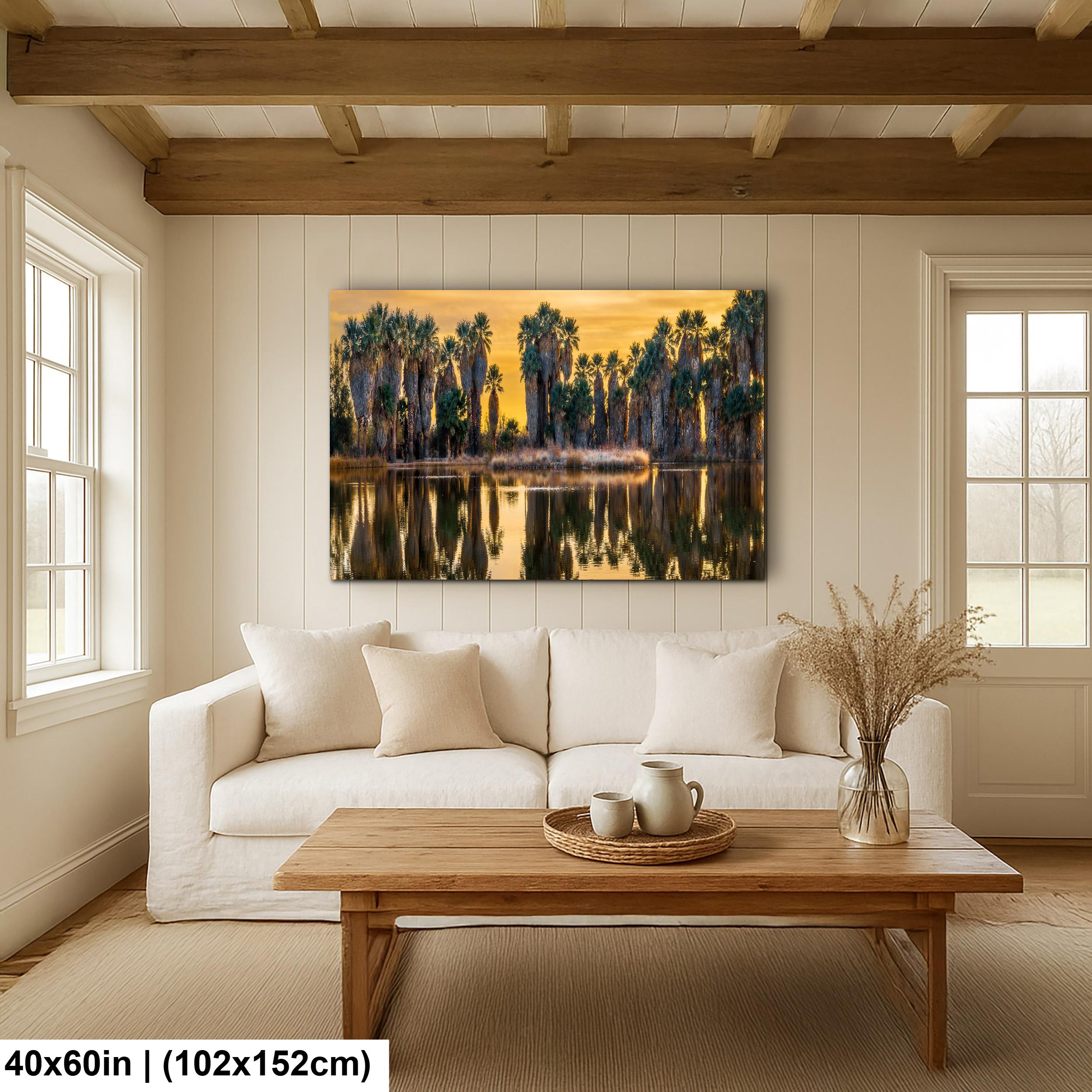 Agua Caliente Park Palm Oasis at Sunset - Tucson Arizona Reflection Photography Print