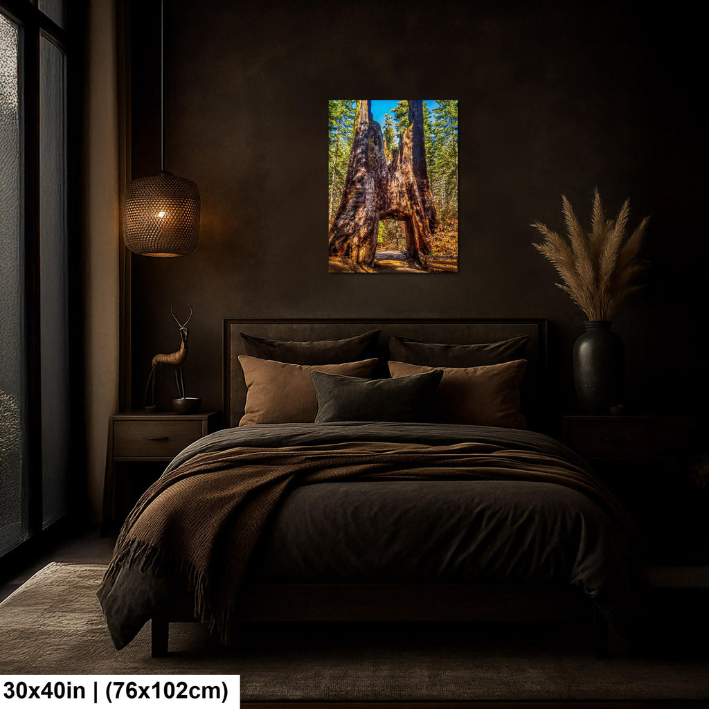 Giant Gateway: Tuolumne Grove Yosemite National Park Photography Wall Art