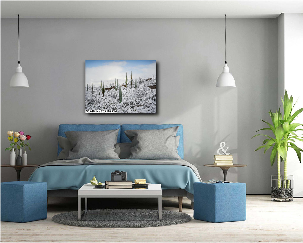 Saguaro National Park Winter Snow Cactus Landscape Art Print