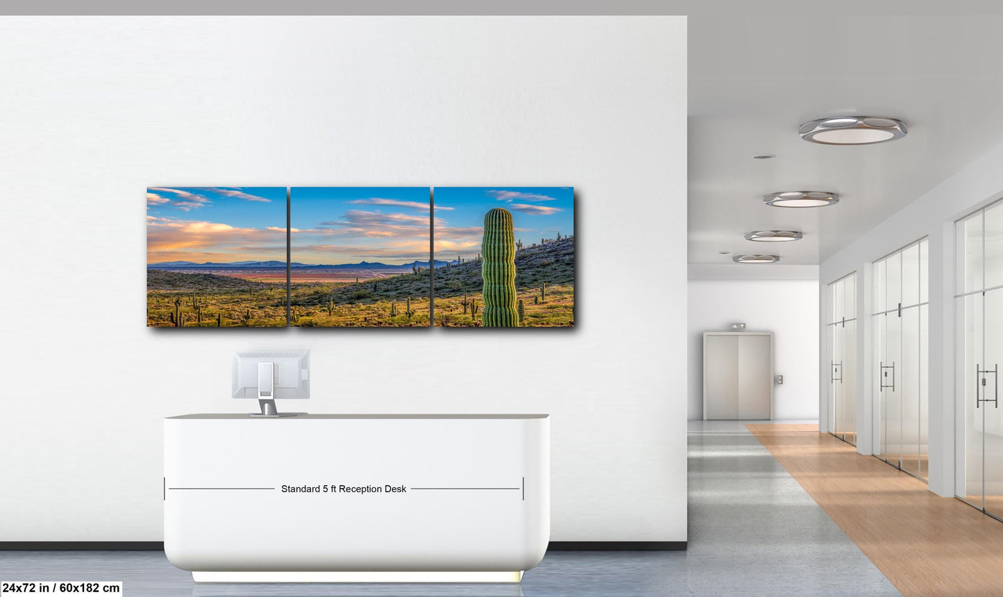 Desert Valley View with Saguaros, Casa Grande Arizona, Photography Wall Art