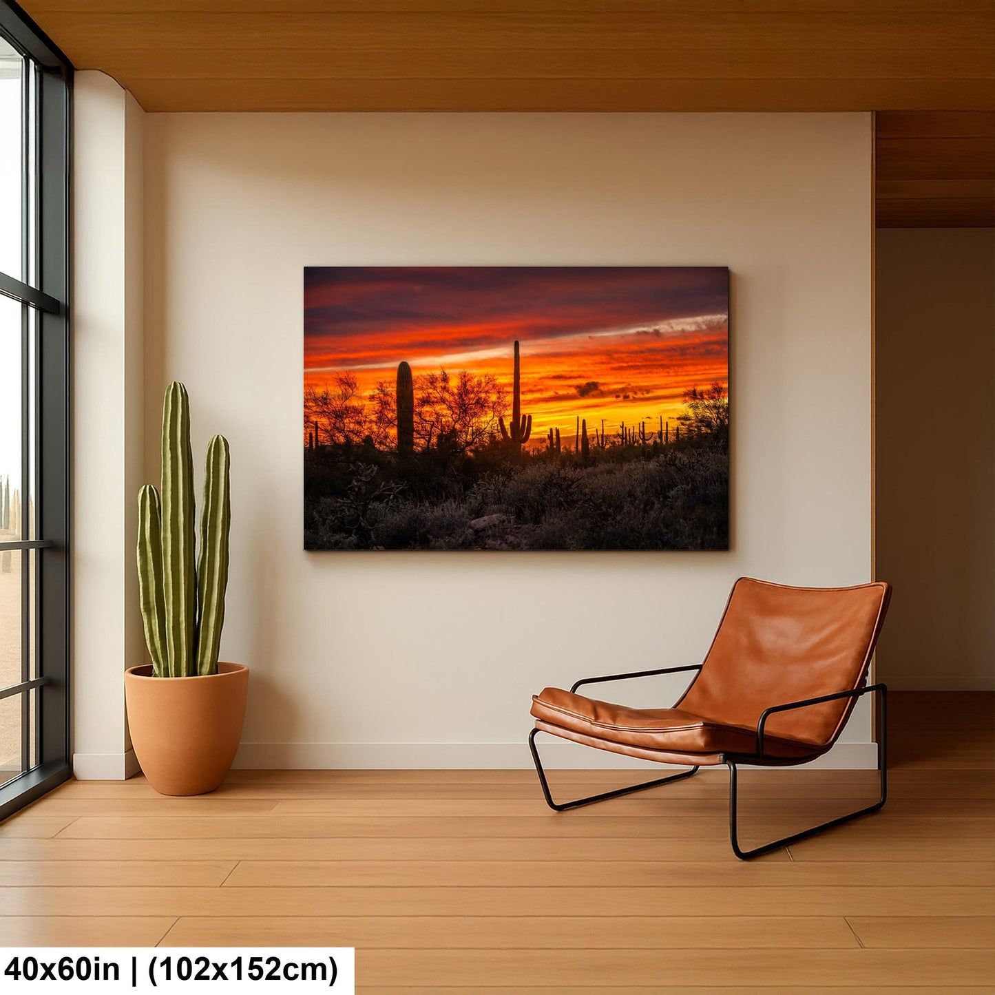 Gold Canyon Sunset Silhouettes, Hieroglyphic Trail Arizona Saguaro Cactus Desert Wall Art
