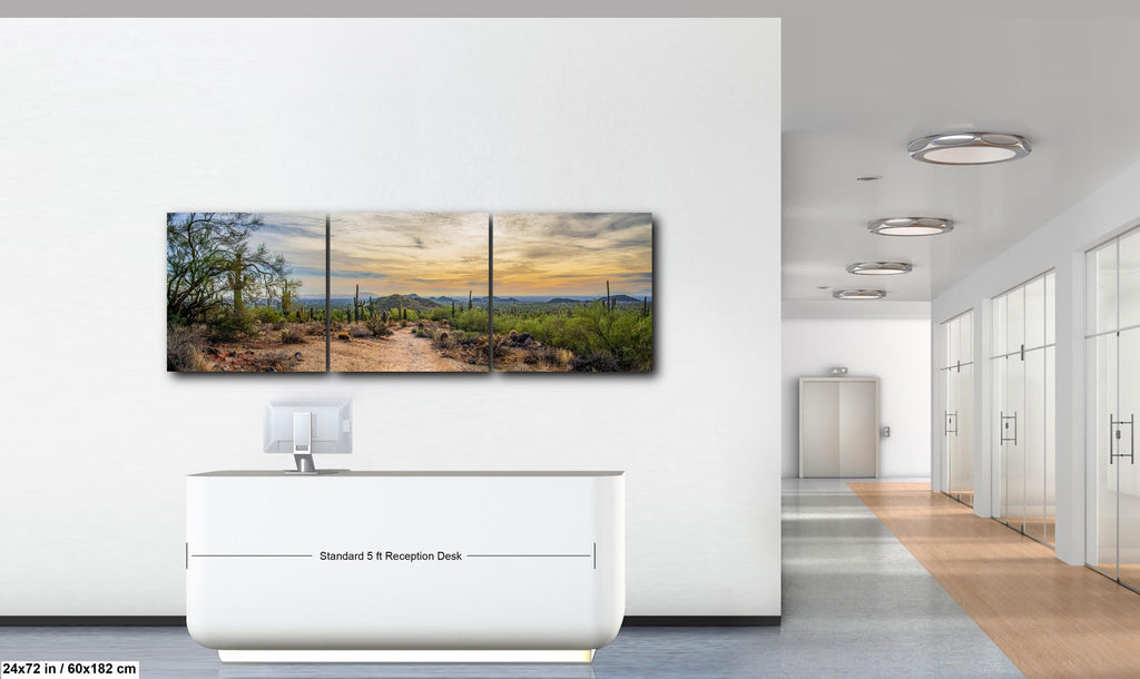 Sonoran Desert Trail at Sunset Photography Print, Usery Mountain Regional Park Mesa Arizona Wall Art Home Decor