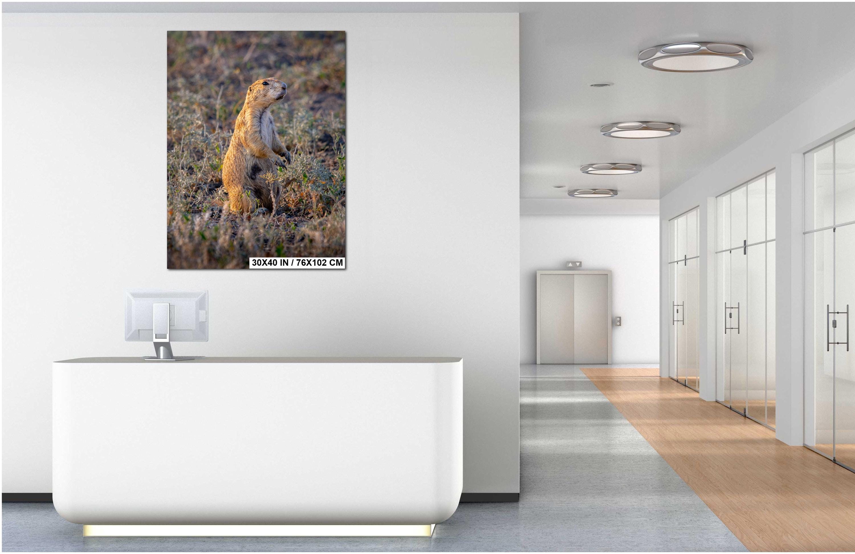 Prairie Dog On Alert Badlands Wildlife Photography Print Canvas Aluminum Metal Acrylic Fine Art Wall Art for Nature and Wildlife