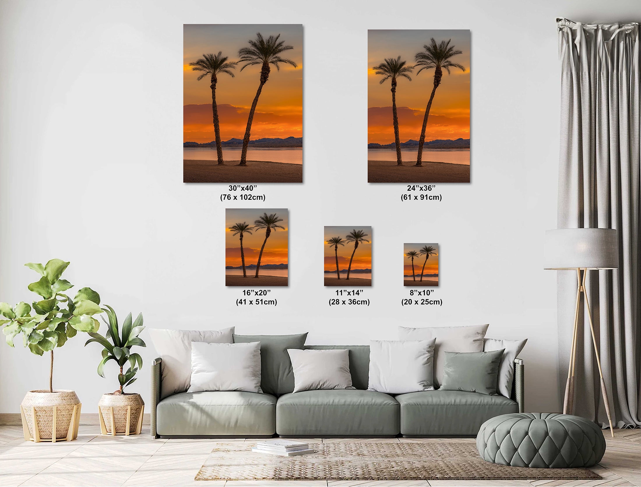 Lake Havasu Palm Tree Arizona Desert Nature Photography Wall Art