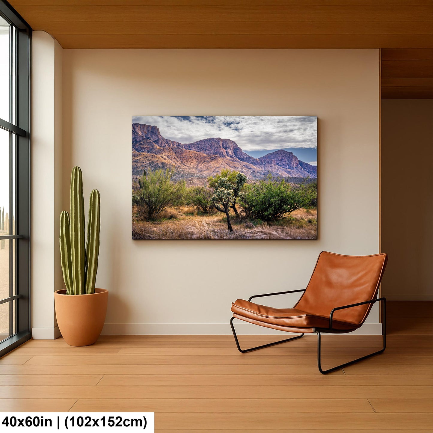 Catalina Mountains Scenic View Arizona Desert Sonoran Landscape Nature Photography Wall Art
